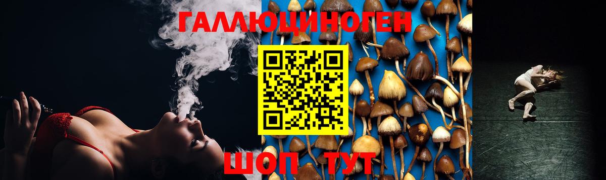 Галлюциногенные грибы мицелий  Вход с VPN  Южно-Сахалинск 